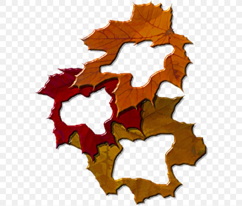 Autumn Leaf Clip Art, PNG, 590x701px, Autumn, Cornice, Flowering Plant, Leaf, Liveinternet Download Free
