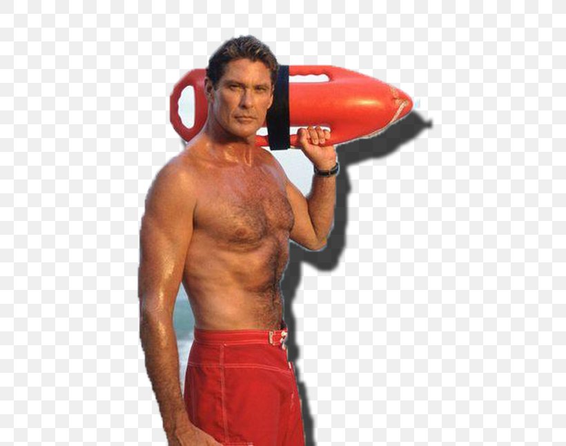 David Hasselhoff Baywatch Mitch Buchannon Television Then You Can Tell Me Goodbye, PNG, 458x646px, Watercolor, Cartoon, Flower, Frame, Heart Download Free
