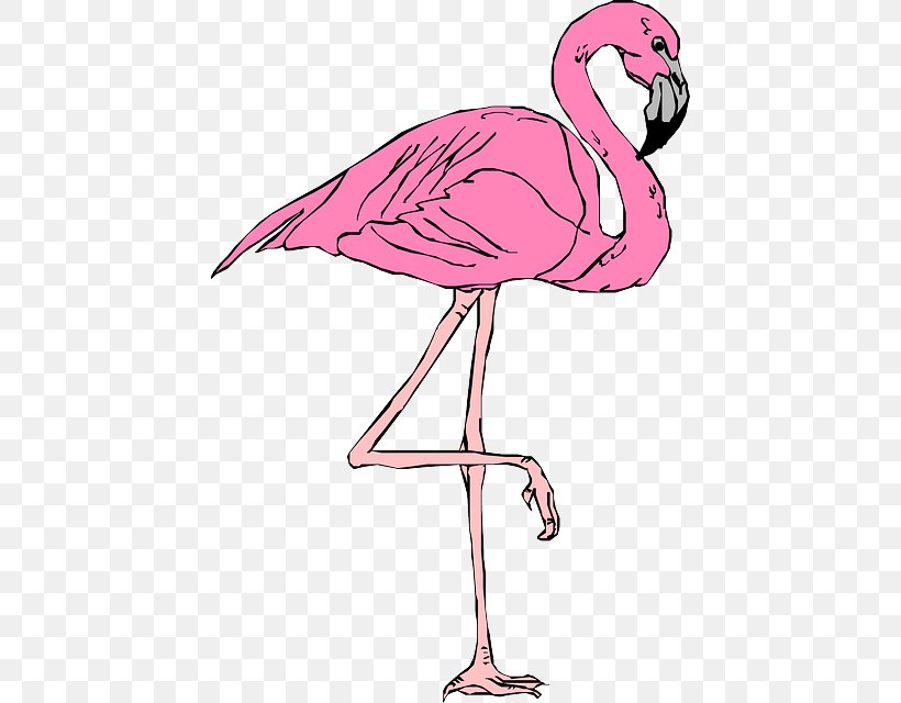 Flamingo T-shirt Clip Art, PNG, 436x640px, Flamingo, Beak, Bird, Crane Like Bird, Music Download Download Free