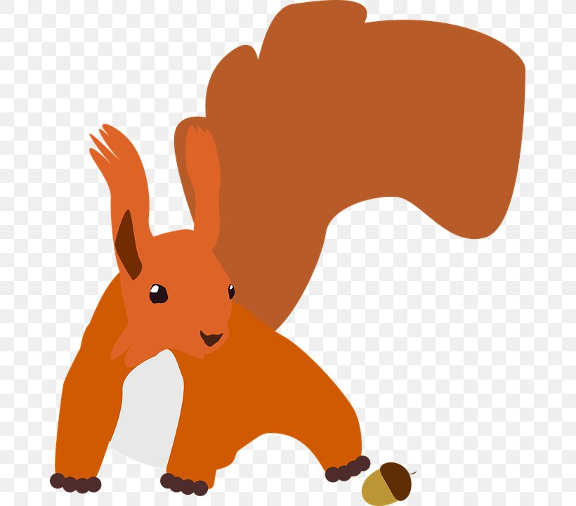 Squirrel Vector Graphics Image Rodent, PNG, 677x720px, Squirrel, Animal, Carnivoran, Cartoon, Dog Like Mammal Download Free