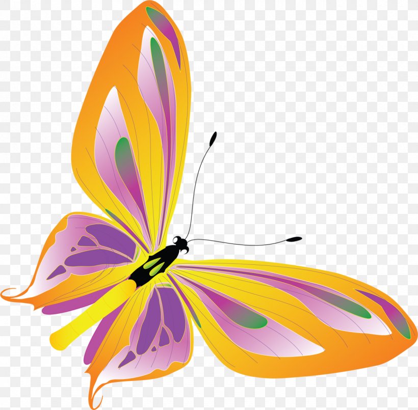 Butterfly Insect Pollinator Clip Art, PNG, 1280x1257px, Butterfly, Animal, Arthropod, Brush Footed Butterfly, Butterflies And Moths Download Free