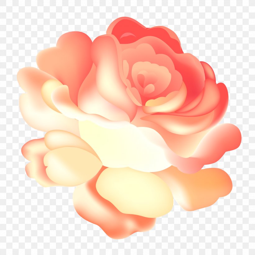 Garden Roses Illustration Image Pink Design, PNG, 2083x2083px, Garden Roses, Cartoon, Color, Cut Flowers, Depositphotos Download Free