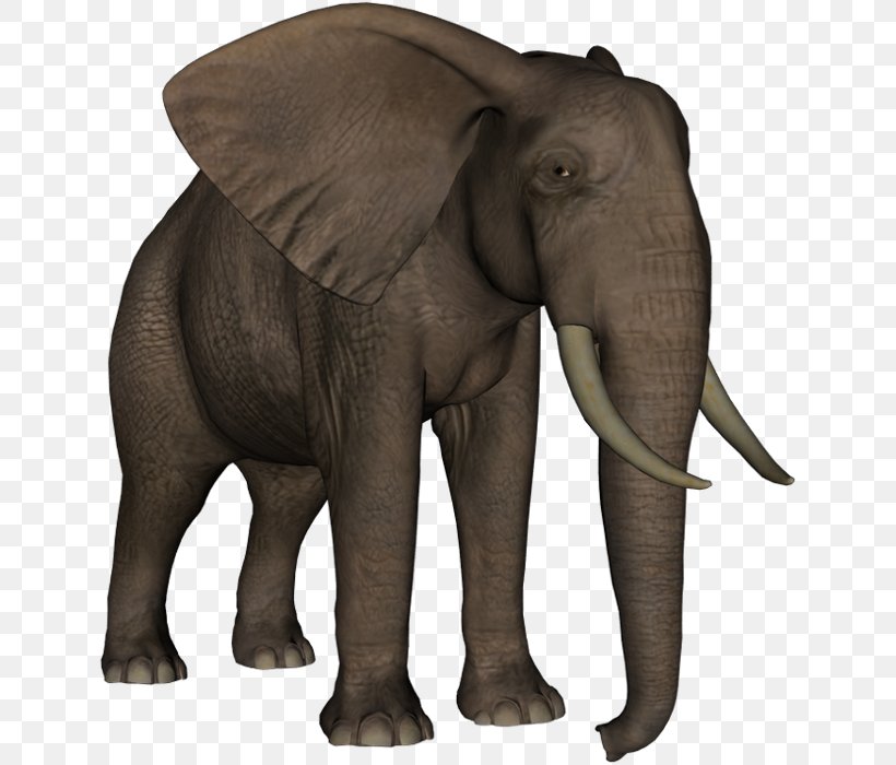 Indian Elephant African Elephant Elephantidae Clip Art, PNG, 640x700px, Indian Elephant, African Elephant, Animal, Asian Elephant, Elephant Download Free