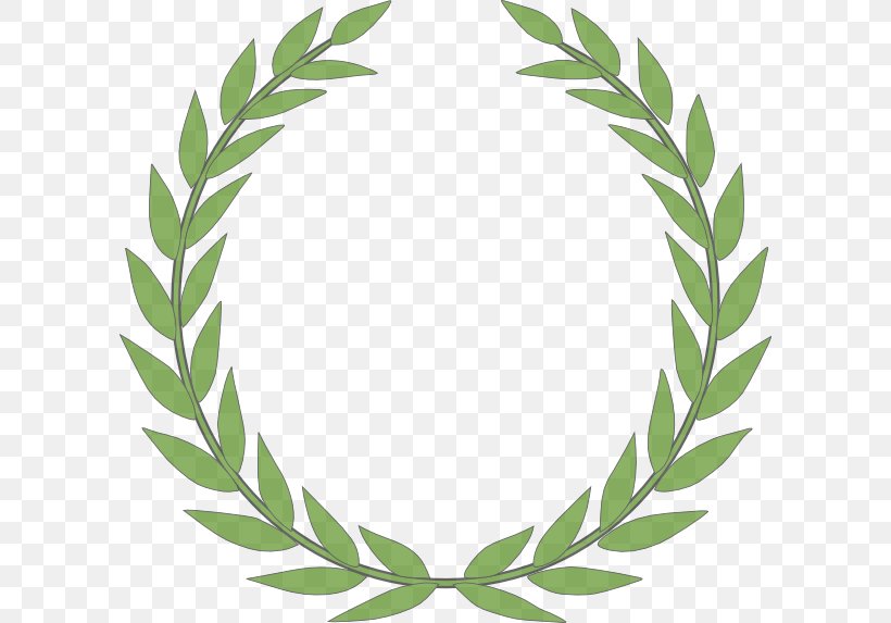 Laurel Wreath Bay Laurel Clip Art, PNG, 600x573px, Laurel Wreath, Area, Award, Bay Laurel, Crown Download Free