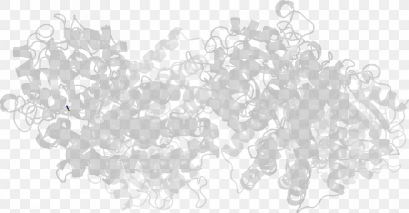 Line Art White Point, PNG, 957x500px, White, Black And White, Line Art, Monochrome, Monochrome Photography Download Free