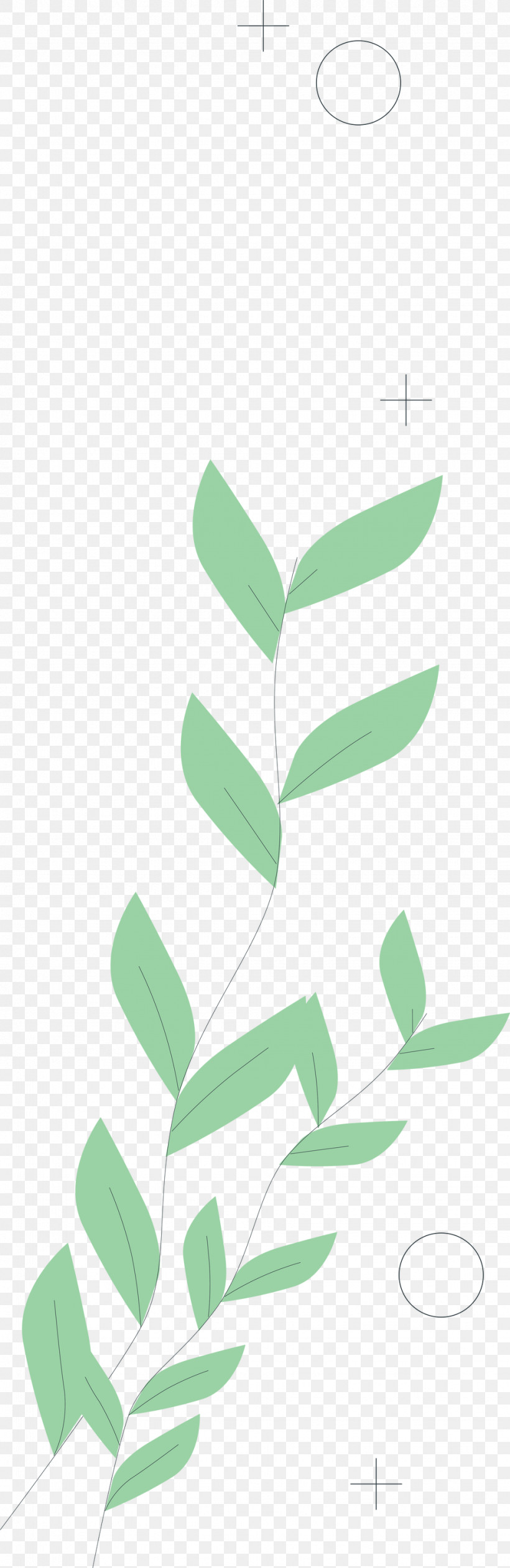 Petal Plant Stem Leaf Green Pattern, PNG, 975x3000px, Petal, Angle, Green, Leaf, Line Download Free