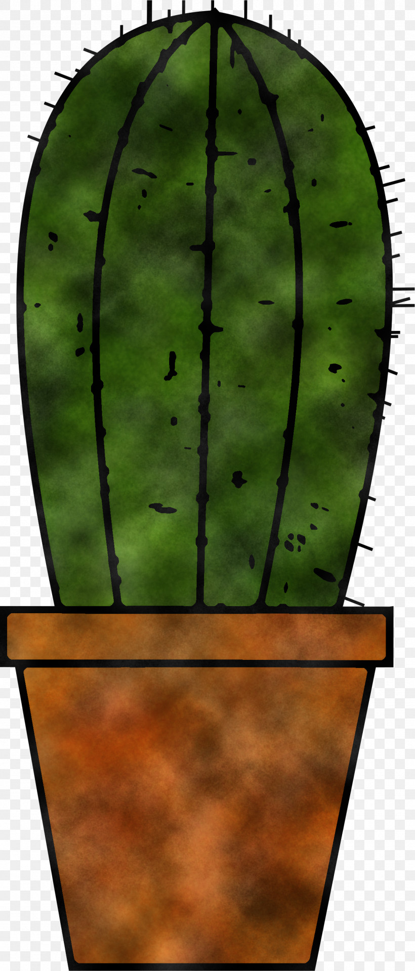 Cactus, PNG, 1281x2999px, Green, Cactus, Hedgehog Cactus, Longboard, Melon Download Free