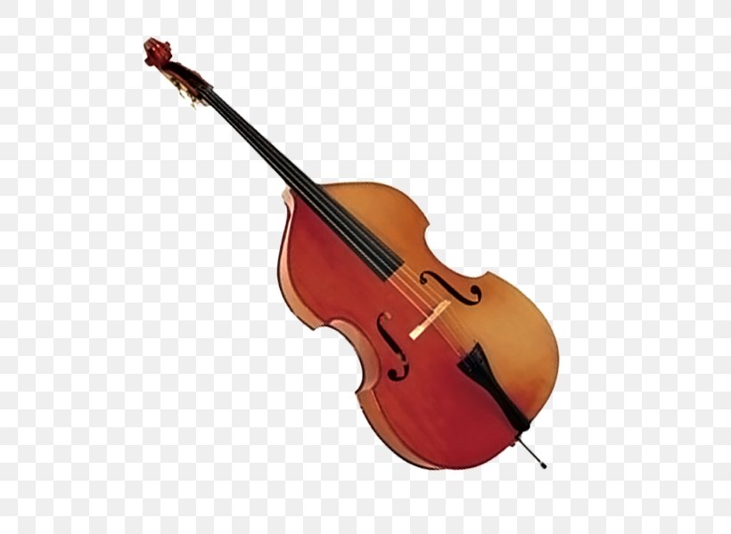 Bass Violin Double Bass Viola Violone Bass Guitar, PNG, 800x600px, Watercolor, Cartoon, Flower, Frame, Heart Download Free