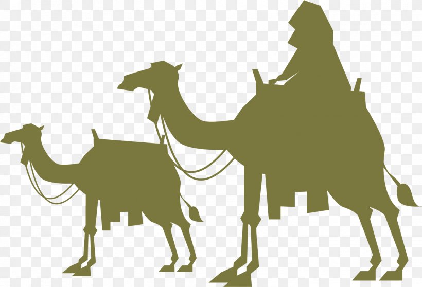 Camel Desert Wilderness, PNG, 1470x1001px, Camel, Animal, Camel Like Mammal, Desert, Designer Download Free