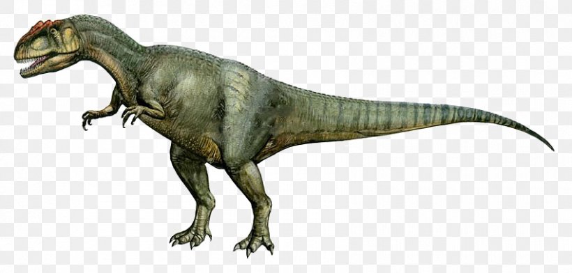 Daspletosaurus Allosaurus Albertosaurus Pachycephalosaurus Tyrannosaurus, PNG, 850x407px, Daspletosaurus, Afrovenator, Albertosaurus, Allosaurus, Animal Figure Download Free