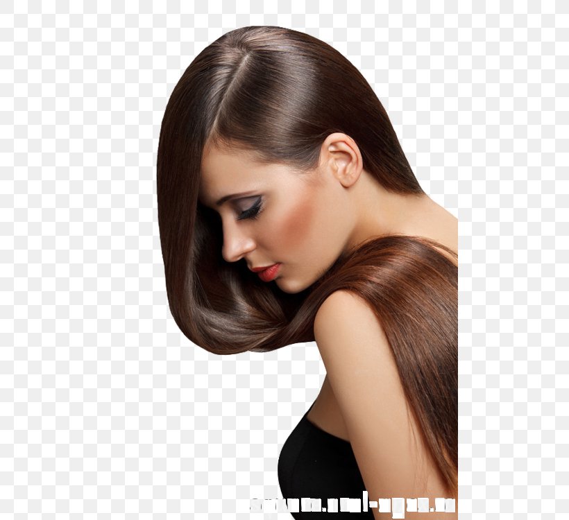 Hair Iron Comb Artificial Hair Integrations Hair Straightening, PNG, 500x750px, Hair Iron, Artificial Hair Integrations, Barrette, Beauty, Black Hair Download Free