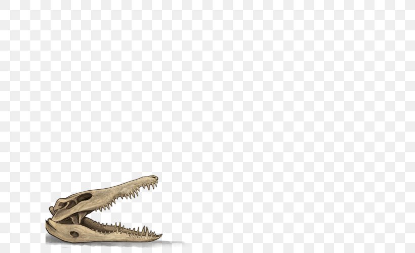 Skull Vitiligo Crocodile Bone Skin, PNG, 640x500px, Skull, Beige, Blacklight, Bone, Coat Download Free