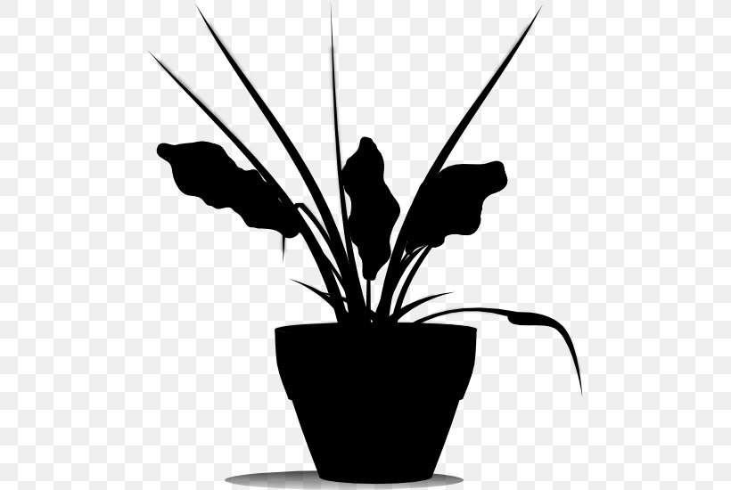 Clip Art Flower Garden Leaf Plant Stem, PNG, 489x550px, Flower, Anthurium, Blackandwhite, Botany, Cotton Download Free