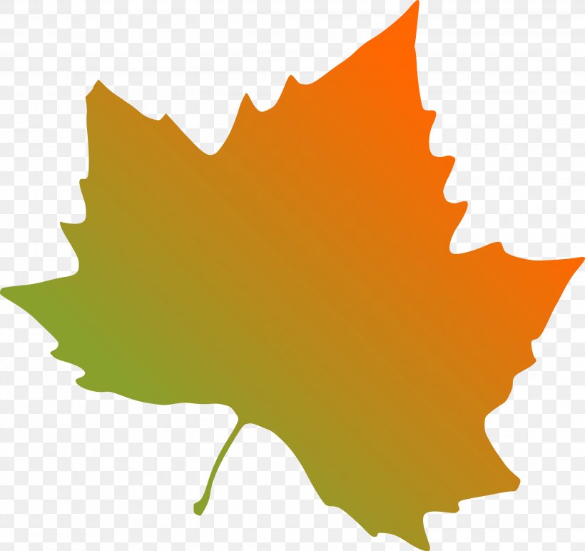 Clip Art Maple Leaf Indiana State University Illustration, PNG, 3000x2828px, Maple Leaf, Drawing, Facebook, Flowering Plant, Indiana Download Free