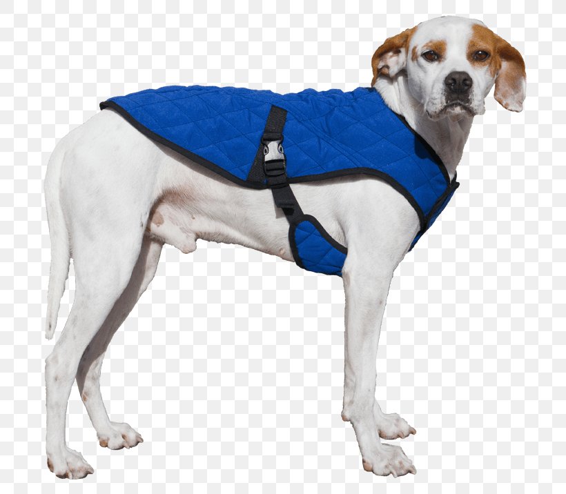 Dog Jacket Waistcoat Overcoat, PNG, 750x716px, Dog, Amazoncom, Clothing, Coat, Cold Download Free