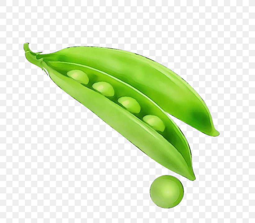 Green Pea Legume Snow Peas Snap Pea, PNG, 715x715px, Watercolor, Fruit, Green, Leaf, Legume Download Free