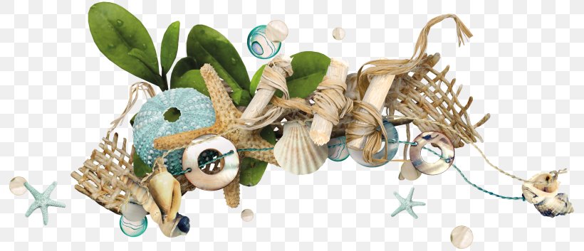 Sea Photo-book Art Clip Art, PNG, 800x353px, Sea, Animal Figure, Art, Blog, Collage Download Free