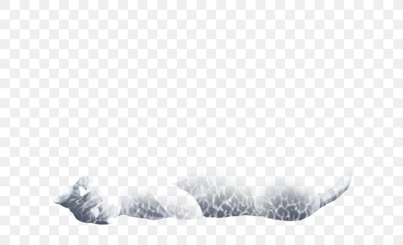 White Fur Freezing Animal Sky Plc, PNG, 640x500px, White, Animal, Black And White, Freezing, Fur Download Free