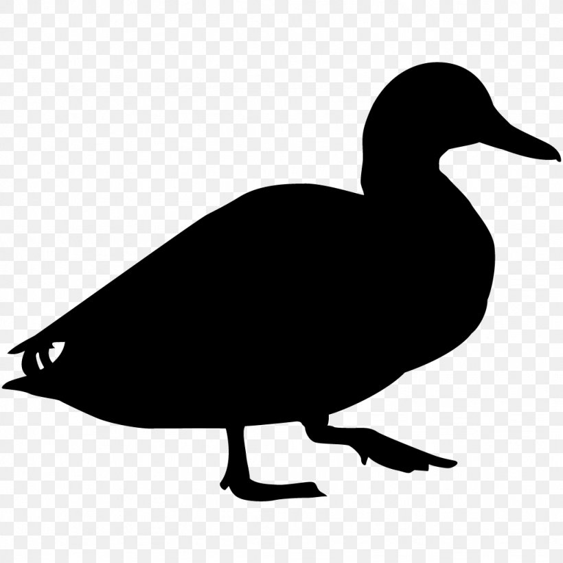 Duck Bird Goose Mallard Cornell Lab Of Ornithology, PNG, 1024x1024px, Duck, All About Birds, American Pekin, Anatidae, Artwork Download Free