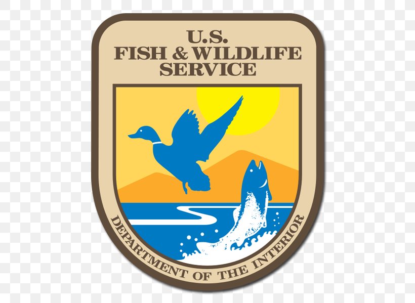 Endangered Species Act Of 1973 United States Fish And Wildlife Service Conservation, PNG, 502x599px, Endangered Species Act Of 1973, Animal, Biodiversity, Brand, Conservation Download Free