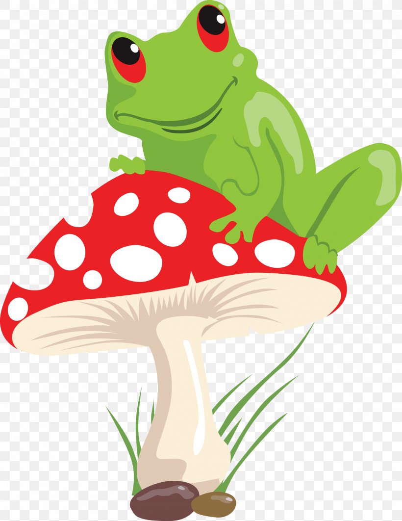 Frog Mushroom Lithobates Clamitans Illustration, PNG, 1919x2486px, Frog, American Bullfrog, Amphibian, Cartoon, Fotosearch Download Free