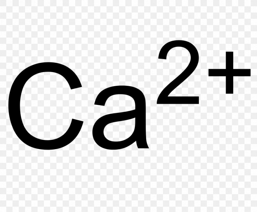 Ion Calcium Carbonate Chemical Compound Calcium Hypochlorite, PNG, 929x768px, Ion, Area, Brand, Calcium, Calcium Carbonate Download Free