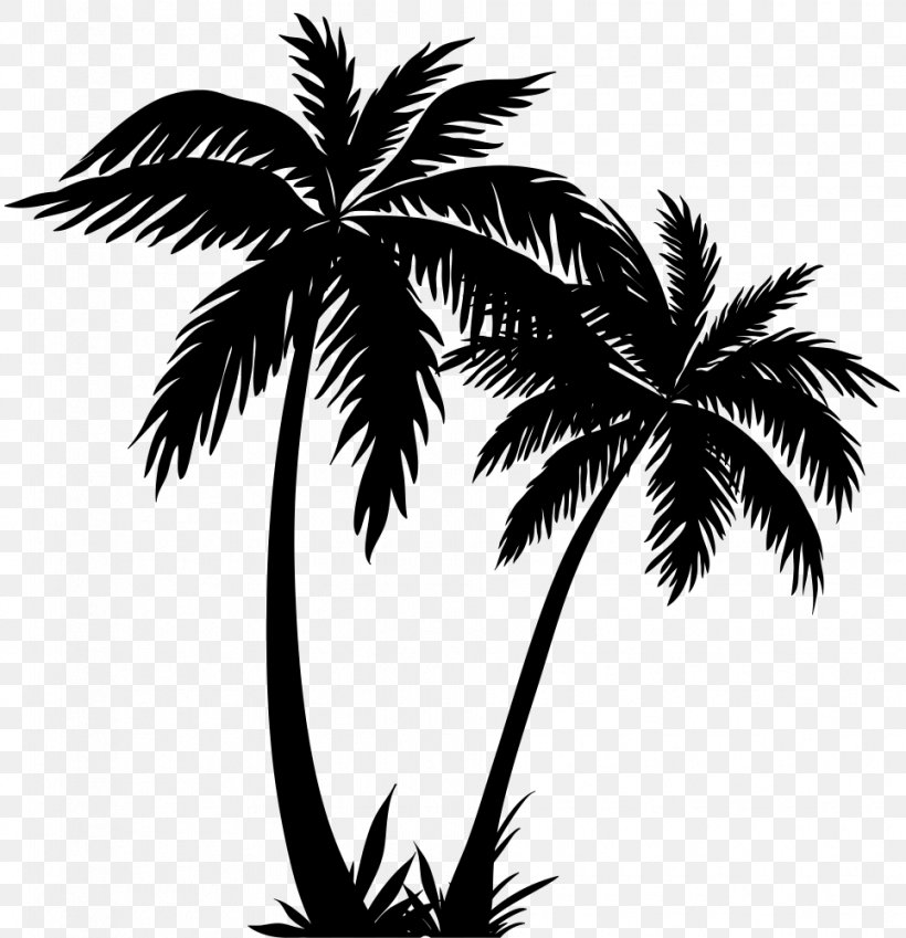 Arecaceae Silhouette Drawing, PNG, 965x1000px, Arecaceae, Arecales, Black And White, Borassus Flabellifer, Branch Download Free