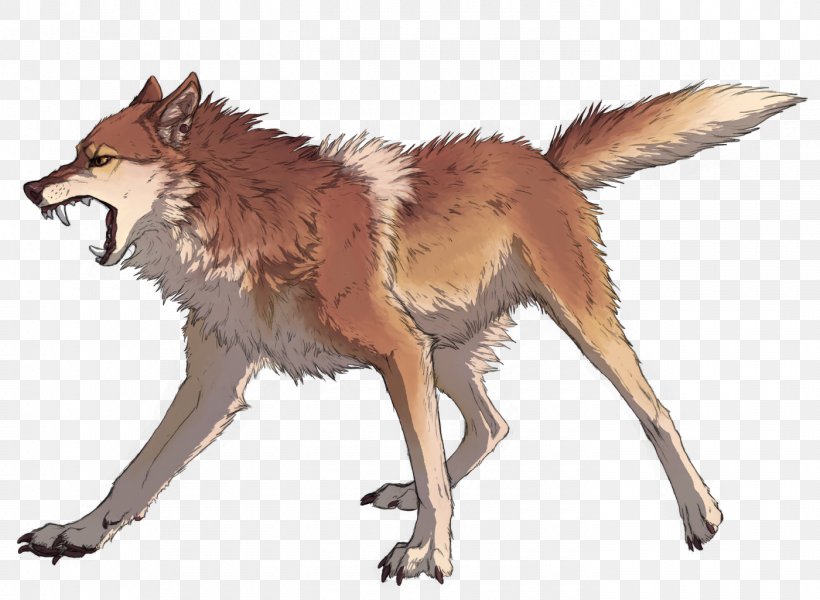 Coyote Dingo Dhole Red Fox Canis Ferox, PNG, 1400x1025px, Coyote, Animal, Canidae, Canis, Canis Ferox Download Free
