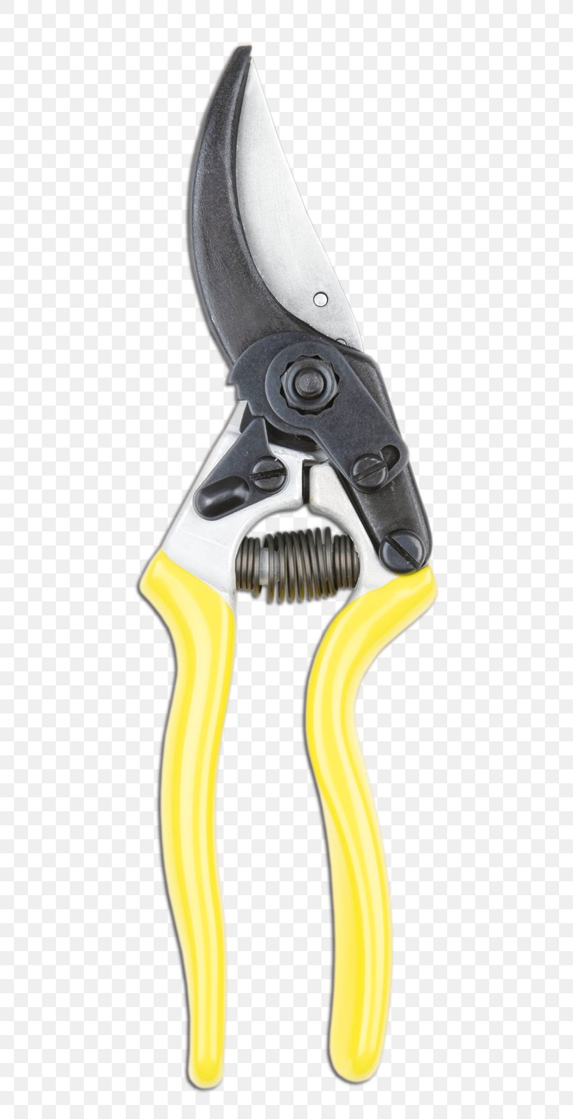 Diagonal Pliers Home Maintenance For Dummies Pruning Shears Scissors Booktopia, PNG, 628x1600px, Diagonal Pliers, Booktopia, For Dummies, Fruit Picking, Hardware Download Free