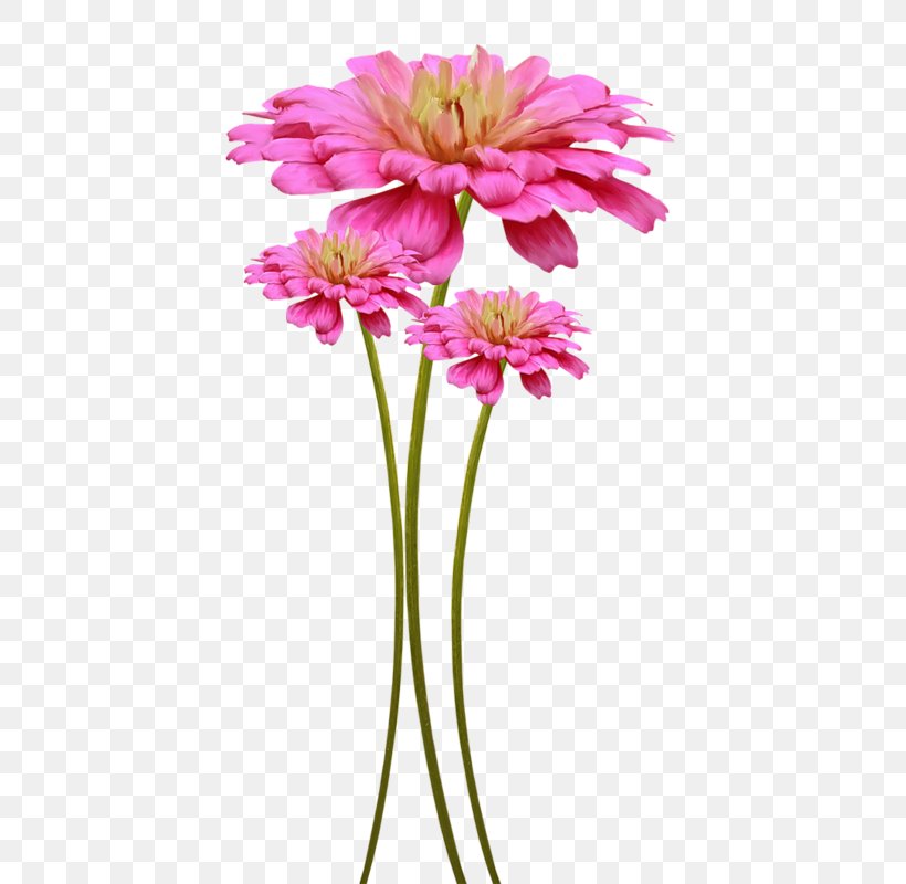 Flower Floral Design Clip Art, PNG, 453x800px, Flower, Animation, Annual Plant, Cut Flowers, Daisy Family Download Free