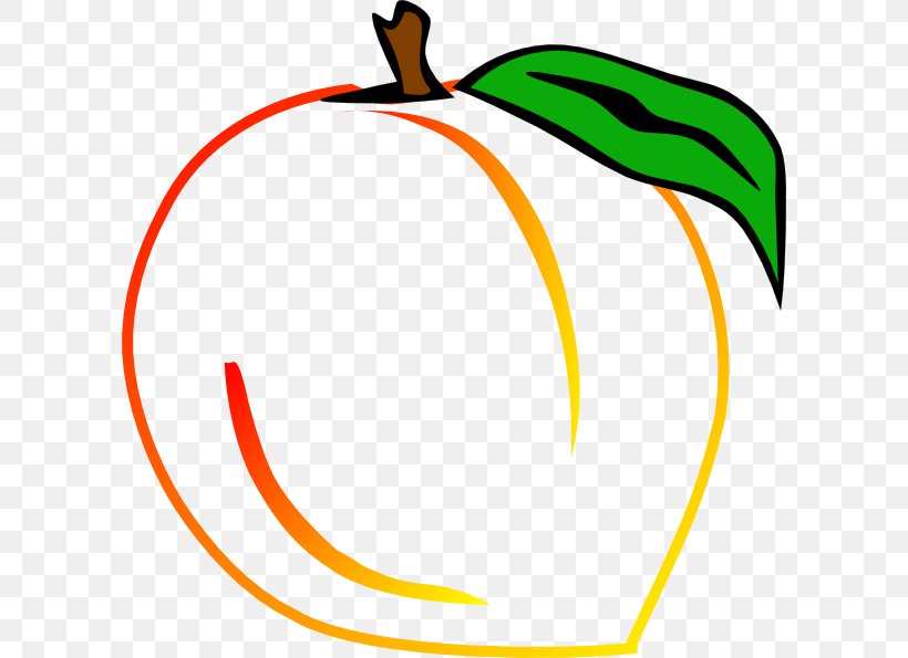 Peach Clip Art, PNG, 600x595px, Peach, Area, Artwork, Beak, Drawing Download Free