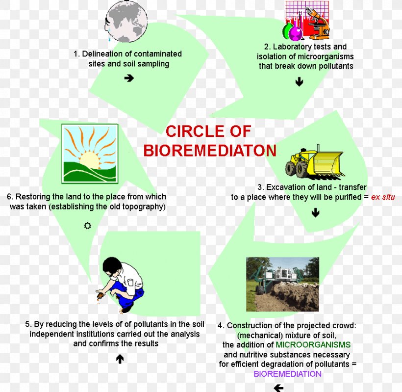 Bioremediation Biology Phenols Pollutant Landfarming, PNG, 895x873px, Bioremediation, Area, Bacteria, Biodegradation, Biology Download Free