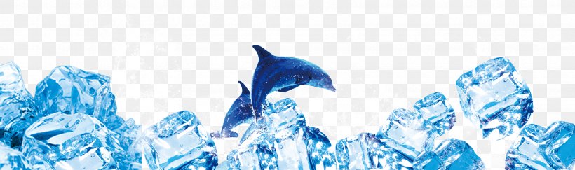 Blue Ice Dolphin Typeface, PNG, 3366x1000px, Ice, Blue, Blue Ice, Dolphin, Ice Crystals Download Free
