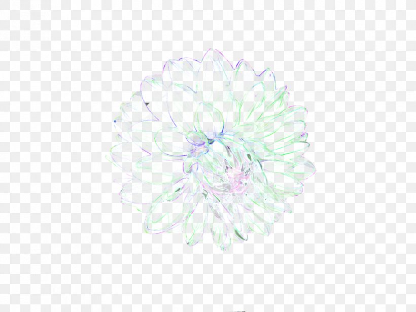 Petal Cut Flowers, PNG, 1032x774px, Petal, Cut Flowers, Flower, Flowering Plant, White Download Free