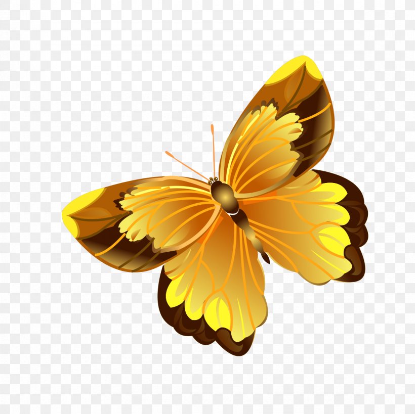 Butterfly Software Wallpaper, PNG, 1181x1181px, Butterfly, Arthropod, Brush  Footed Butterfly, Color, Display Resolution Download Free