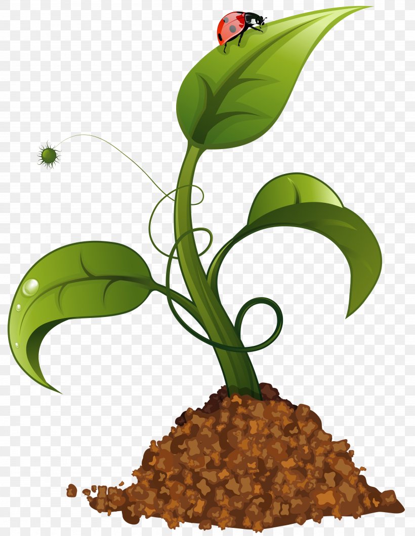 Crop Agriculture Clip Art, PNG, 3689x4759px, Crop, Agriculture, Crop Rotation, Farm, Field Download Free