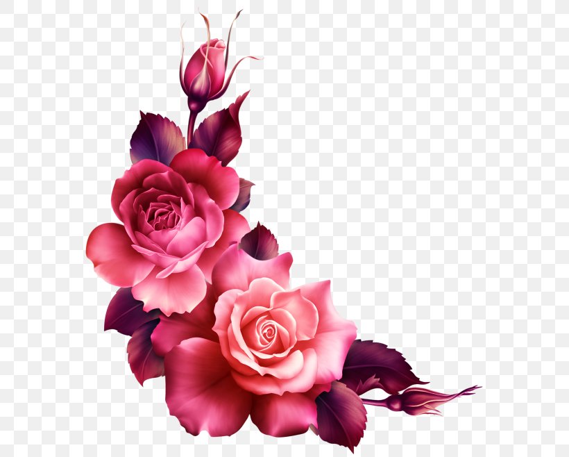 Garden Roses Flower Garden, PNG, 589x658px, Garden Roses, Cut Flowers, Decorative Arts, Decoupage, Drawing Download Free
