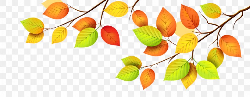 Autumn Leaf Color, PNG, 4006x1565px, Autumn Leaf Color, Autumn, Branch, Color, Drawing Download Free
