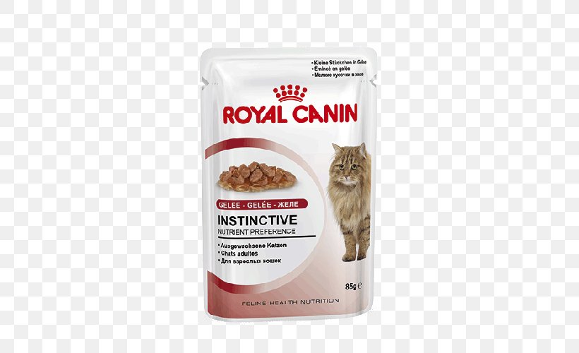 Cat Food Dog Royal Canin Kitten Feline Health Nutrition Kitten Dry Food, PNG, 500x500px, Cat Food, Cat, Dog, Dog Food, Flavor Download Free