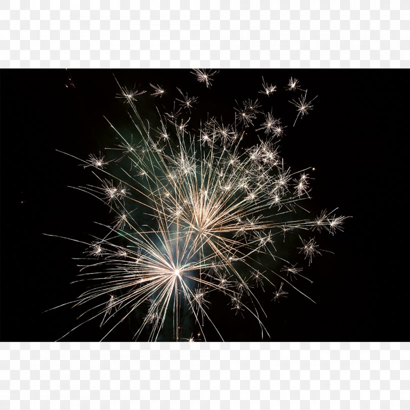 Fireworks Sparkler Desktop Wallpaper Stock Photography, PNG, 1000x1000px, Fireworks, Computer, Event, Photography, Sky Download Free