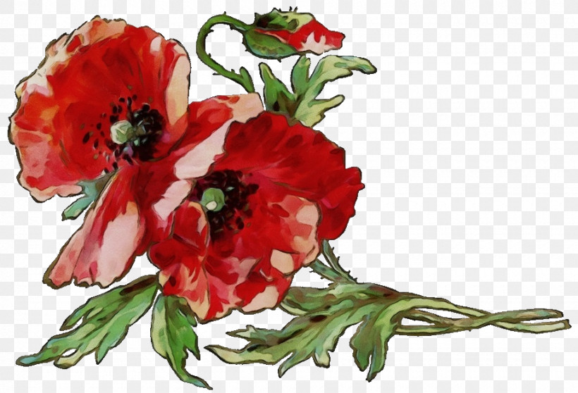 Floral Design, PNG, 920x627px, Watercolor, Anemone, Annual Plant, Biology, Cut Flowers Download Free