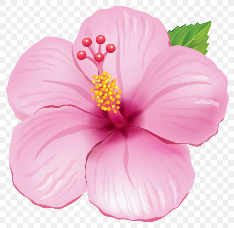Flower Pink Clip Art, PNG, 1385x1348px, Flower, Annual Plant, Blue, Color, Flowering Plant Download Free