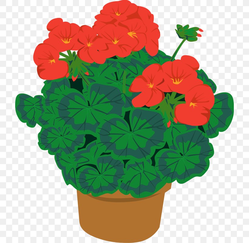 Houseplant Flowerpot Clip Art, PNG, 720x800px, Plant, Annual Plant, Crane Sbill, Cut Flowers, Drawing Download Free