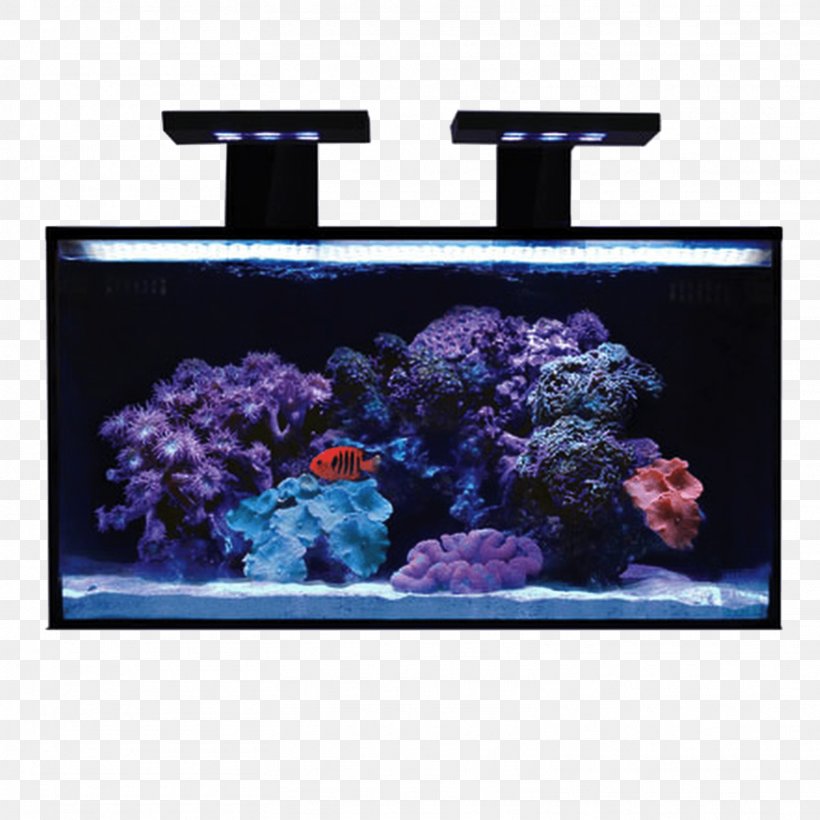 Reef Aquarium Light Nano Aquarium Gallon, PNG, 1561x1561px, Aquarium, Aquarium Filters, Aquarium Lighting, Aquascaping, Aquatic Plants Download Free