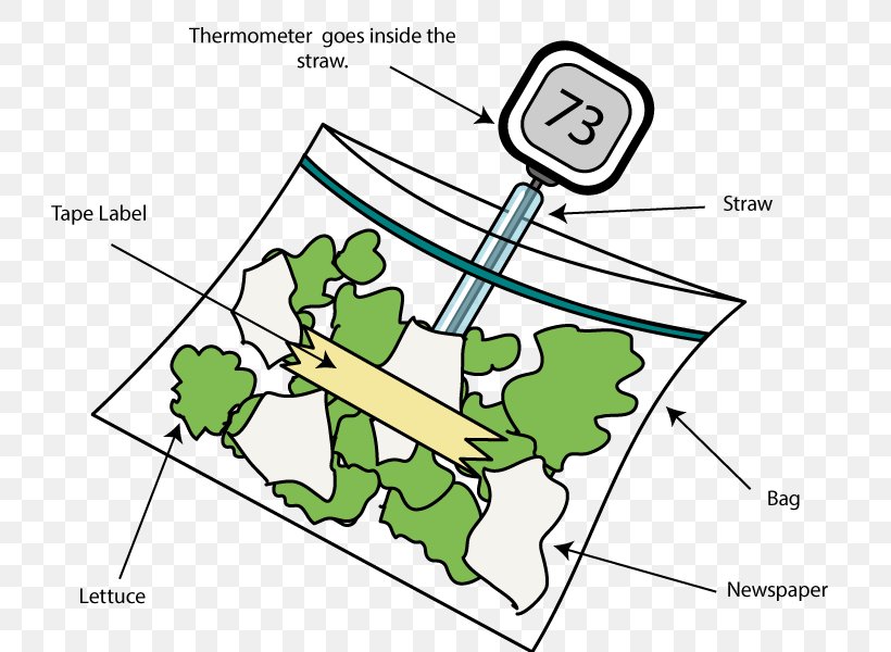 Science Project Compost Science Fair Education, PNG, 800x600px, Science Project, Area, Compost, Diagram, Education Download Free