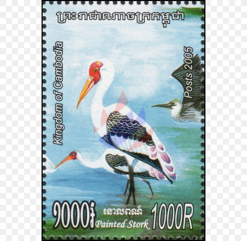 Stork Bird Advertising Beak Fauna, PNG, 800x800px, Stork, Advertising, Beak, Bird, Ciconiiformes Download Free