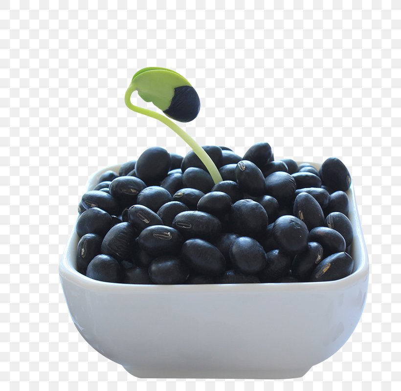 Black Turtle Bean Rice And Beans Food Blueberry, PNG, 800x800px, Black Turtle Bean, Adzuki Bean, Bean, Berry, Bilberry Download Free
