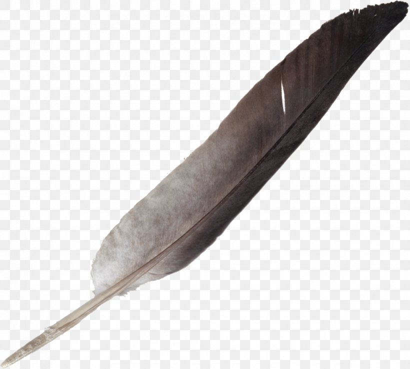 Feather Quill Clip Art, PNG, 976x879px, Feather, Blog, Digital Media, Peafowl, Pen Download Free