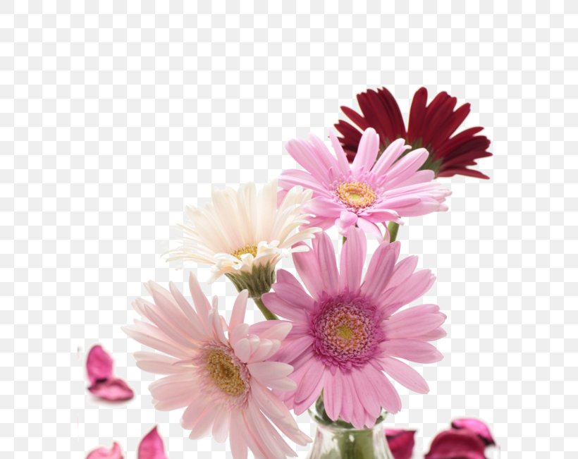 Flower Bouquet Transvaal Daisy Garden Roses Clip Art, PNG, 600x651px, Flower, Artificial Flower, Aster, Chrysanths, Cut Flowers Download Free
