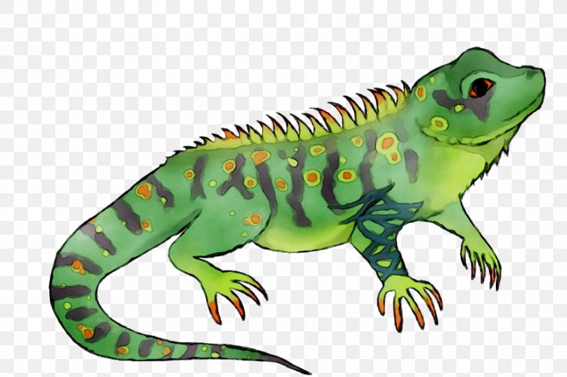 Iguanas Clip Art Gecko Fauna Green Iguana, PNG, 900x600px, Iguanas, Action Toy Figures, Adaptation, Amphibian, Animal Download Free